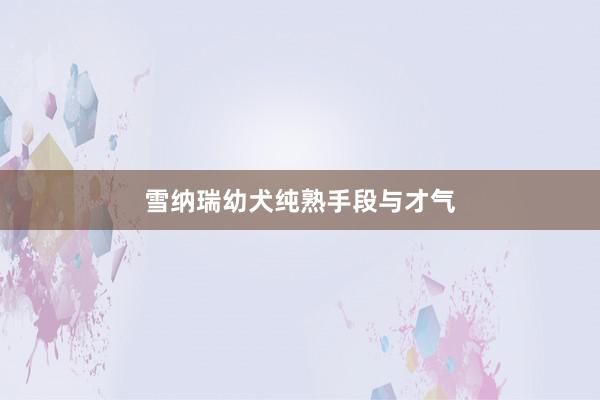 雪纳瑞幼犬纯熟手段与才气